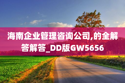 海南企业管理咨询公司,的全解答解答_DD版GW5656