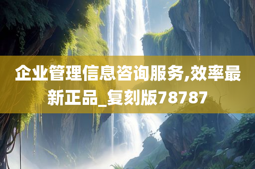 企业管理信息咨询服务,效率最新正品_复刻版78787