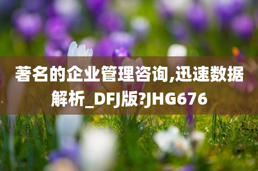 著名的企业管理咨询,迅速数据解析_DFJ版?JHG676