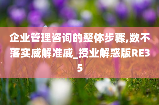 企业管理咨询的整体步骤,数不落实威解准威_授业解惑版RE35