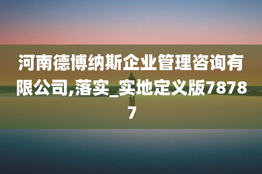 河南德博纳斯企业管理咨询有限公司,落实_实地定义版78787