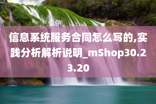 信息系统服务合同怎么写的,实践分析解析说明_mShop30.23.20