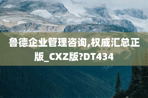 鲁德企业管理咨询,权威汇总正版_CXZ版?DT434