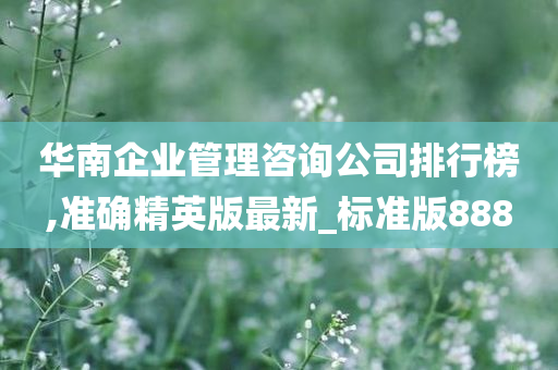 华南企业管理咨询公司排行榜,准确精英版最新_标准版888