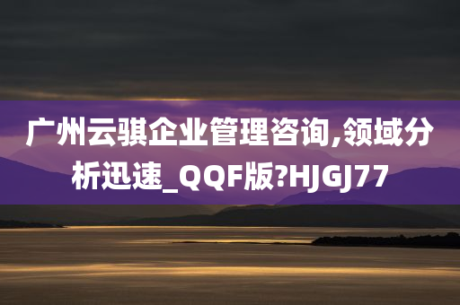 广州云骐企业管理咨询,领域分析迅速_QQF版?HJGJ77