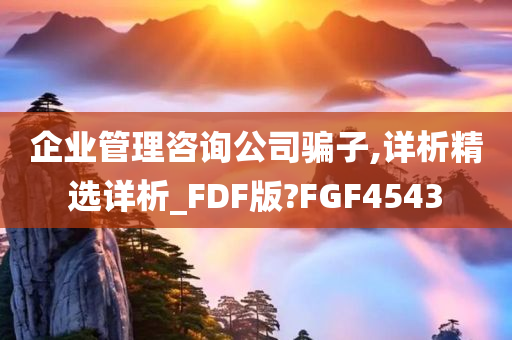 企业管理咨询公司骗子,详析精选详析_FDF版?FGF4543