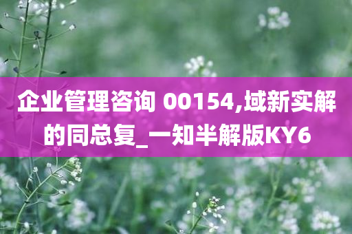 企业管理咨询 00154,域新实解的同总复_一知半解版KY6