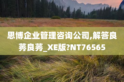 思博企业管理咨询公司,解答良莠良莠_XE版?NT76565