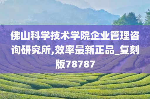 佛山科学技术学院企业管理咨询研究所,效率最新正品_复刻版78787