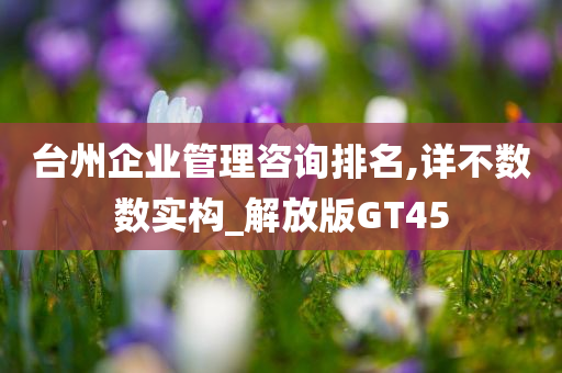 台州企业管理咨询排名,详不数数实构_解放版GT45