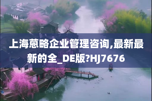 上海蒽略企业管理咨询,最新最新的全_DE版?HJ7676