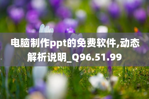 电脑制作ppt的免费软件,动态解析说明_Q96.51.99