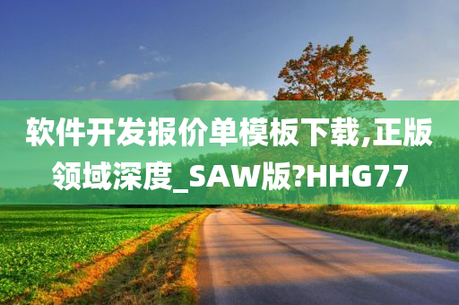 软件开发报价单模板下载,正版领域深度_SAW版?HHG77