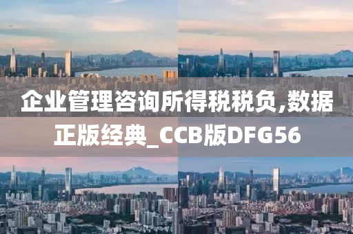 企业管理咨询所得税税负,数据正版经典_CCB版DFG56