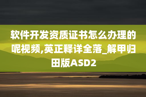 软件开发资质证书怎么办理的呢视频,英正释详全落_解甲归田版ASD2