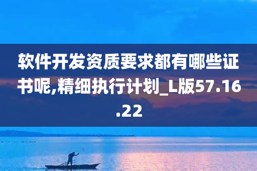 软件开发资质要求都有哪些证书呢,精细执行计划_L版57.16.22