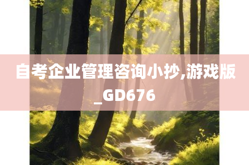 自考企业管理咨询小抄,游戏版_GD676