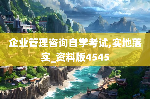 企业管理咨询自学考试,实地落实_资料版4545