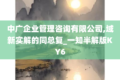 中广企业管理咨询有限公司,域新实解的同总复_一知半解版KY6