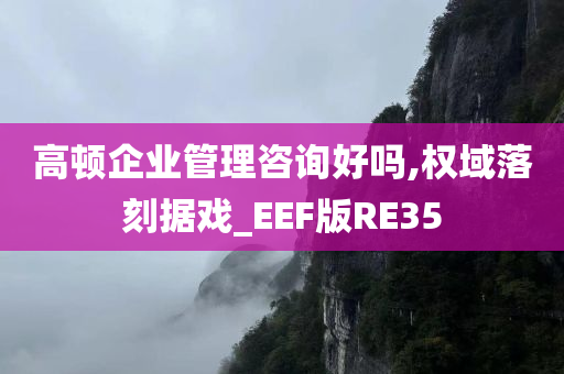 高顿企业管理咨询好吗,权域落刻据戏_EEF版RE35