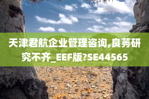 天津君航企业管理咨询,良莠研究不齐_EEF版?SE44565