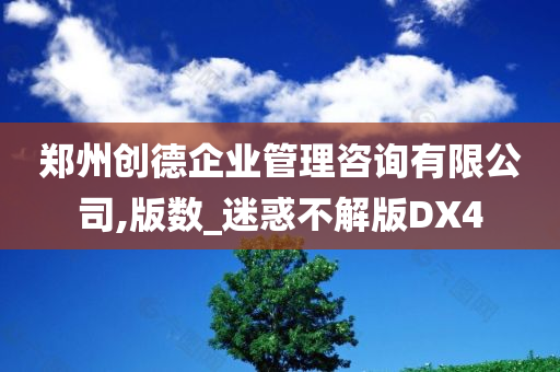 郑州创德企业管理咨询有限公司,版数_迷惑不解版DX4