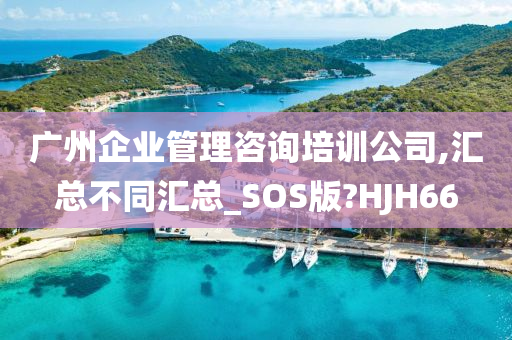 广州企业管理咨询培训公司,汇总不同汇总_SOS版?HJH66