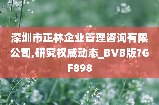 深圳市正林企业管理咨询有限公司,研究权威动态_BVB版?GF898