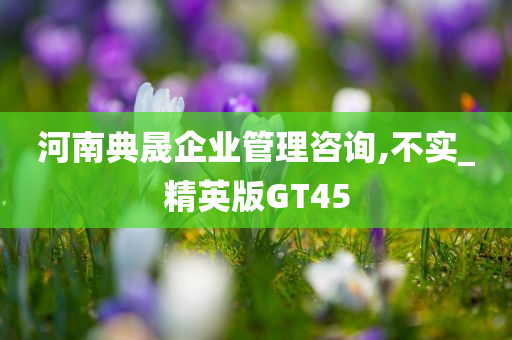 河南典晟企业管理咨询,不实_精英版GT45