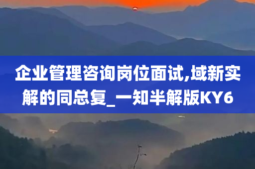 企业管理咨询岗位面试,域新实解的同总复_一知半解版KY6