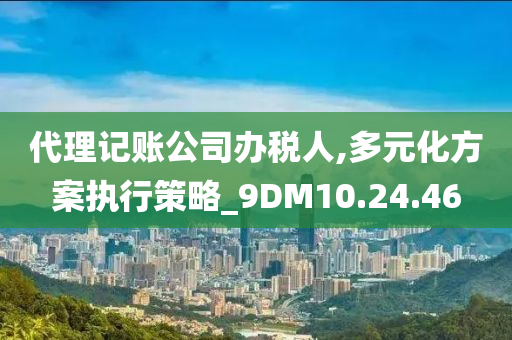 代理记账公司办税人,多元化方案执行策略_9DM10.24.46