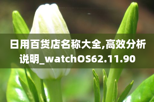 日用百货店名称大全,高效分析说明_watchOS62.11.90