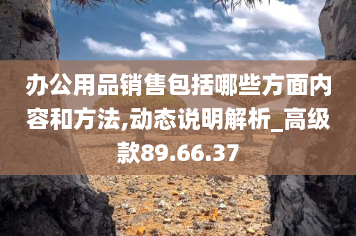 办公用品销售包括哪些方面内容和方法,动态说明解析_高级款89.66.37