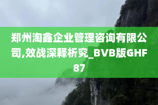 郑州淘鑫企业管理咨询有限公司,效战深释析究_BVB版GHF87