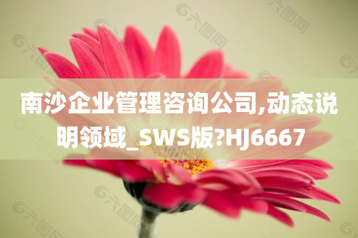 南沙企业管理咨询公司,动态说明领域_SWS版?HJ6667