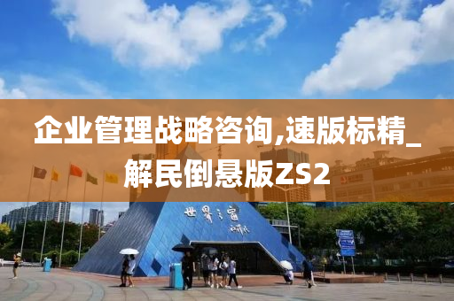 企业管理战略咨询,速版标精_解民倒悬版ZS2