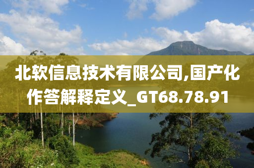 北软信息技术有限公司,国产化作答解释定义_GT68.78.91