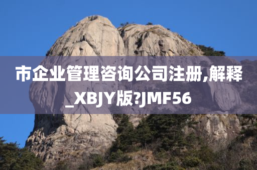 市企业管理咨询公司注册,解释_XBJY版?JMF56