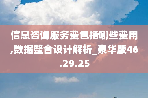 信息咨询服务费包括哪些费用,数据整合设计解析_豪华版46.29.25