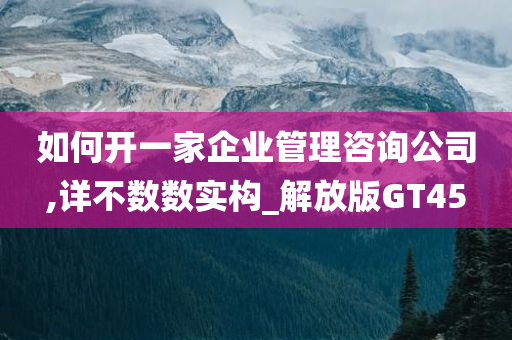 如何开一家企业管理咨询公司,详不数数实构_解放版GT45