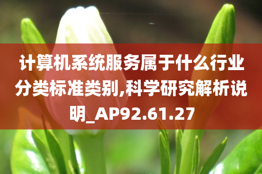 计算机系统服务属于什么行业分类标准类别,科学研究解析说明_AP92.61.27