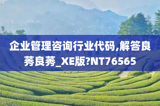 企业管理咨询行业代码,解答良莠良莠_XE版?NT76565