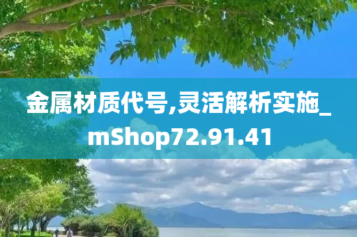 金属材质代号,灵活解析实施_mShop72.91.41