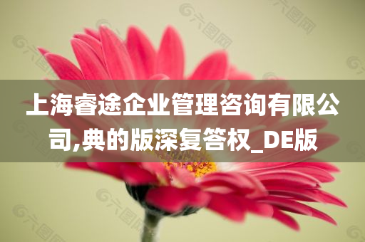 上海睿途企业管理咨询有限公司,典的版深复答权_DE版