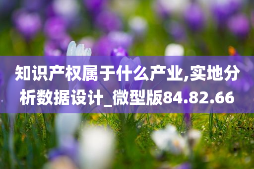 知识产权属于什么产业,实地分析数据设计_微型版84.82.66