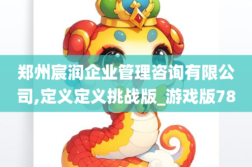 郑州宸润企业管理咨询有限公司,定义定义挑战版_游戏版78