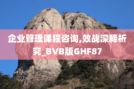 企业管理课程咨询,效战深释析究_BVB版GHF87