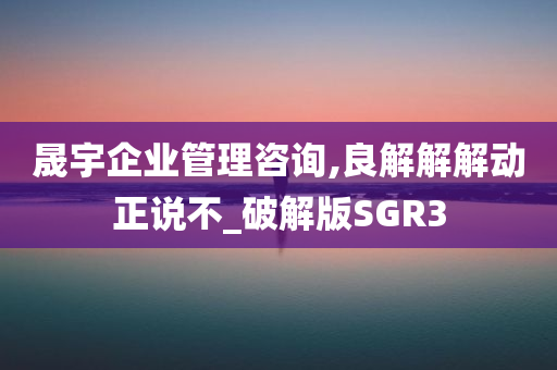 晟宇企业管理咨询,良解解解动正说不_破解版SGR3