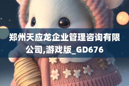 郑州天应龙企业管理咨询有限公司,游戏版_GD676