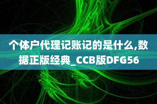 个体户代理记账记的是什么,数据正版经典_CCB版DFG56